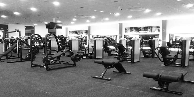 Como fabricantes de equipamiento de fitness